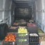 gfr-veg-van.jpg