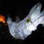 dsc-7198-2.jpg