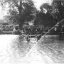 30-swimming-club.jpg