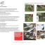 the-nectar-room-pelsall-village-school-1-4-page-04.jpg