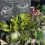 thumbnail-img-5057.jpg