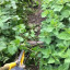 thumbnail-img-0209.jpg