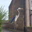 Heron_1.jpg