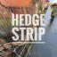 04-hedge-strip.jpg