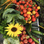 ford-lane-garden-autumn-harvest-tomatoes-sunflower-mint-apples-courgettes-squash.jpg