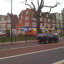 2011-feb-trees-site-originally-1317.jpg
