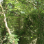 img-7615.jpg