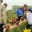 children-and-chickens.jpg