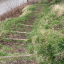 img-0515.jpg