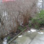 20150316-140841.jpg