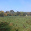 orchard-area-2.jpg