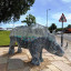 4-rhino-half-full-with-plastic-bottle-tops.jpg