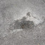 img-7727.jpeg