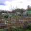 allotments-6-email.jpg