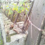 img-20200112-090603.jpg