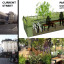 parklet-before-and-after.jpg