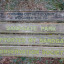 sandgate-park.jpg