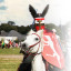 horse-with-man.jpg