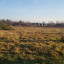 20201129-145653.jpg