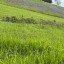 hb-verge-23-may-4.jpg