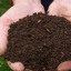 handful-of-compost.jpg