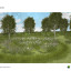 concept-design-7-wildflowers.jpg