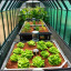 aquaponics-usa-greenhouse-full-shot-1.jpg