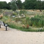 img-6513.jpg