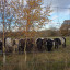 img-20201110142922.jpg