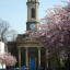 daffs-and-camellias-mar-2014-014.jpg