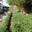 dsc-07120.jpg