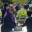 usma-at-ewg-plant-sale-2019-by-james-morton.png