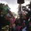 15-6-june-6-th-img-0719-trees-on-the-green-hilly-fieldsd-brockley-max-festival-tree-saturday-6-th-june-2015.jpg