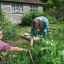 dscf-0785-1.jpg