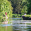 canal-credit-seashorepics.jpg