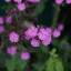 img-9233.jpg
