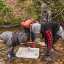 haydon-bridge-salmon-release-4-of-5.jpg