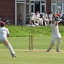 sykehouse-cricket-041501-e-1497725156159.jpg