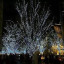 christmas-lights-1.jpeg