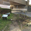 millais-before.jpg