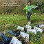 pthon-jody-sorting-a-0938.jpg