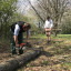 chainsaw-woodland-walk.jpg