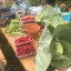 harvest.jpg
