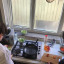 img-20190221-wa-0016.jpg