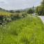 hb-verge-23-may-1.jpg
