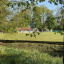 img-1364.jpg