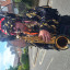 bob-black-and-gold.jpg