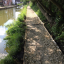 img-6615.jpg