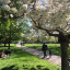 wendell-park-01.jpg