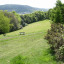 gallery-summer-03-large.jpg
